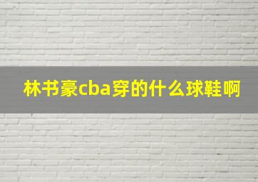 林书豪cba穿的什么球鞋啊