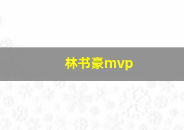 林书豪mvp