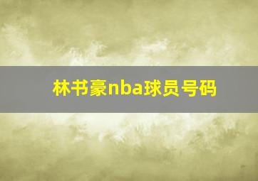 林书豪nba球员号码