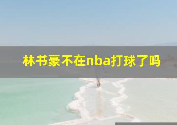 林书豪不在nba打球了吗