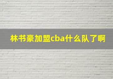 林书豪加盟cba什么队了啊