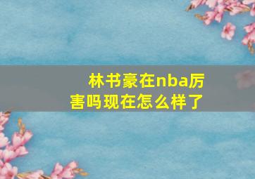 林书豪在nba厉害吗现在怎么样了