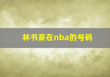 林书豪在nba的号码