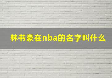 林书豪在nba的名字叫什么