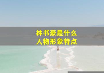 林书豪是什么人物形象特点