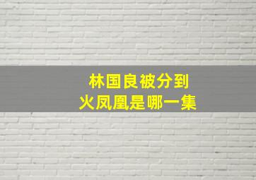 林国良被分到火凤凰是哪一集