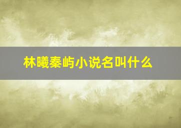 林曦秦屿小说名叫什么