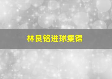 林良铭进球集锦