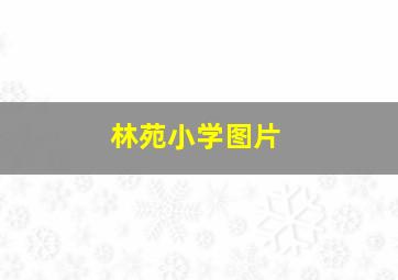 林苑小学图片