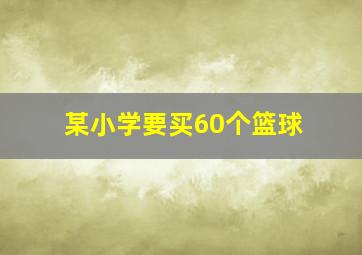 某小学要买60个篮球