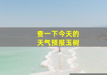 查一下今天的天气预报玉树