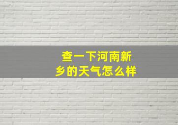 查一下河南新乡的天气怎么样