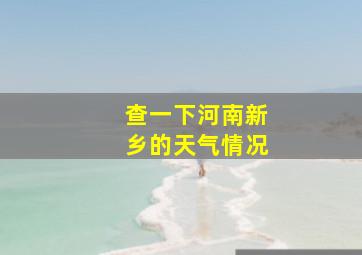 查一下河南新乡的天气情况