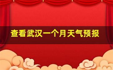 查看武汉一个月天气预报