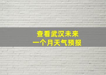 查看武汉未来一个月天气预报