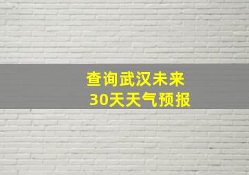 查询武汉未来30天天气预报