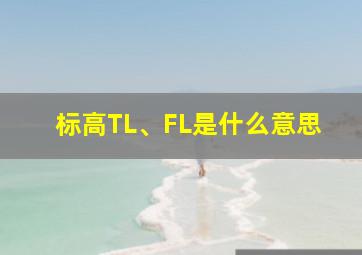 标高TL、FL是什么意思