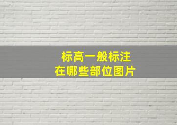 标高一般标注在哪些部位图片