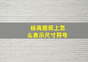 标高图纸上怎么表示尺寸符号