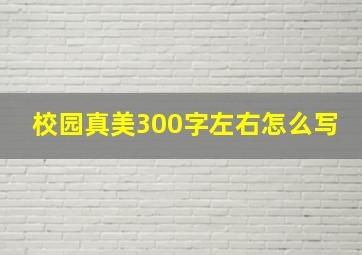 校园真美300字左右怎么写