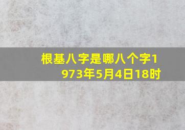 根基八字是哪八个字1973年5月4日18时