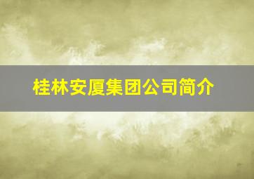 桂林安厦集团公司简介