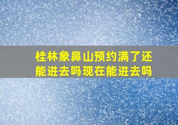 桂林象鼻山预约满了还能进去吗现在能进去吗