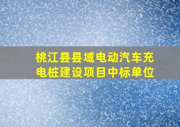 桃江县县域电动汽车充电桩建设项目中标单位