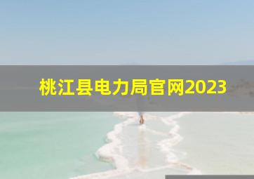 桃江县电力局官网2023