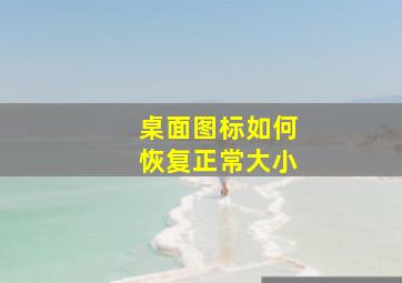 桌面图标如何恢复正常大小