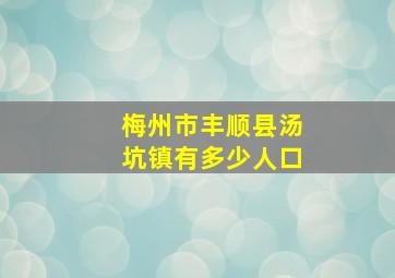 梅州市丰顺县汤坑镇有多少人口