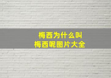 梅西为什么叫梅西呢图片大全