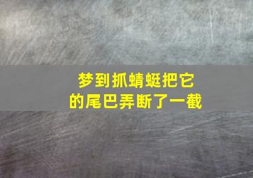 梦到抓蜻蜓把它的尾巴弄断了一截