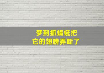 梦到抓蜻蜓把它的翅膀弄断了