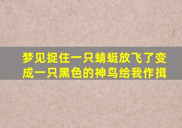 梦见捉住一只蜻蜓放飞了变成一只黑色的神鸟给我作揖