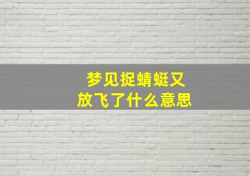 梦见捉蜻蜓又放飞了什么意思