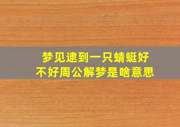 梦见逮到一只蜻蜓好不好周公解梦是啥意思