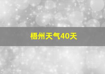 梧州天气40天