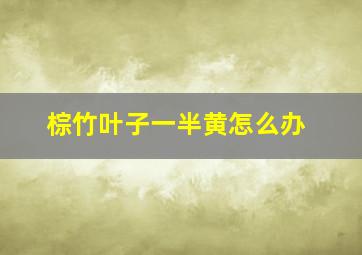 棕竹叶子一半黄怎么办