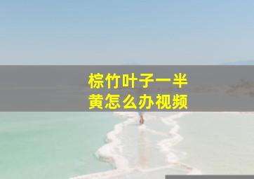 棕竹叶子一半黄怎么办视频