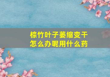 棕竹叶子萎缩变干怎么办呢用什么药