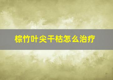 棕竹叶尖干枯怎么治疗