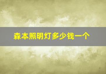 森本照明灯多少钱一个