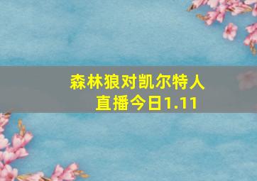 森林狼对凯尔特人直播今日1.11