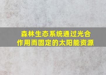 森林生态系统通过光合作用而固定的太阳能资源