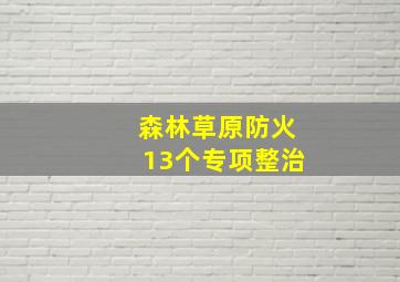 森林草原防火13个专项整治