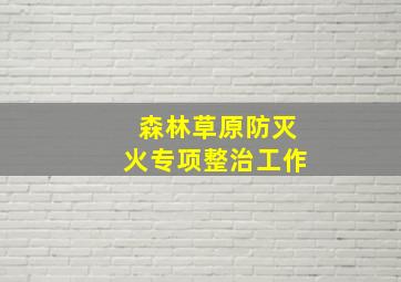 森林草原防灭火专项整治工作