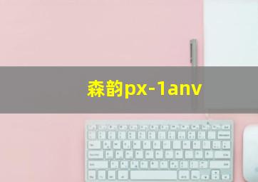 森韵px-1anv