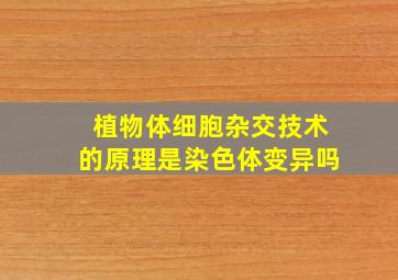 植物体细胞杂交技术的原理是染色体变异吗