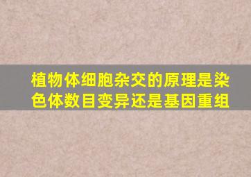 植物体细胞杂交的原理是染色体数目变异还是基因重组